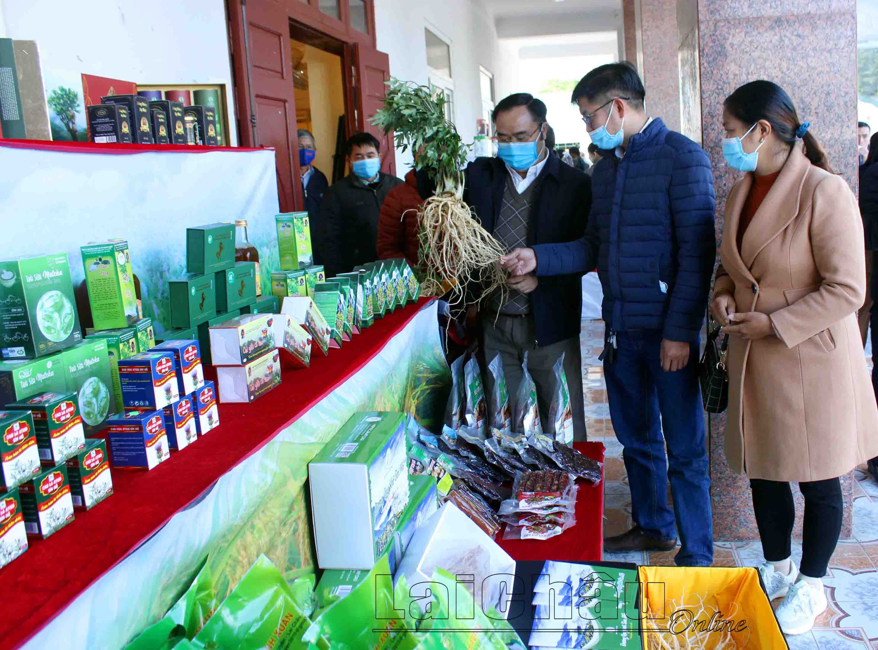 Đại biểu thăm quan Đương quy tươi Sìn Hồ của HTX Mý Dao, Khu 1, thị trấn Sìn Hồ, huyện Sìn Hồ được đánh giá đạt OCOP 3 sao.